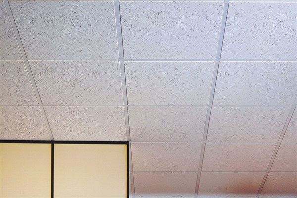 الأسقف الصوتية أولمبيا مايكرو™